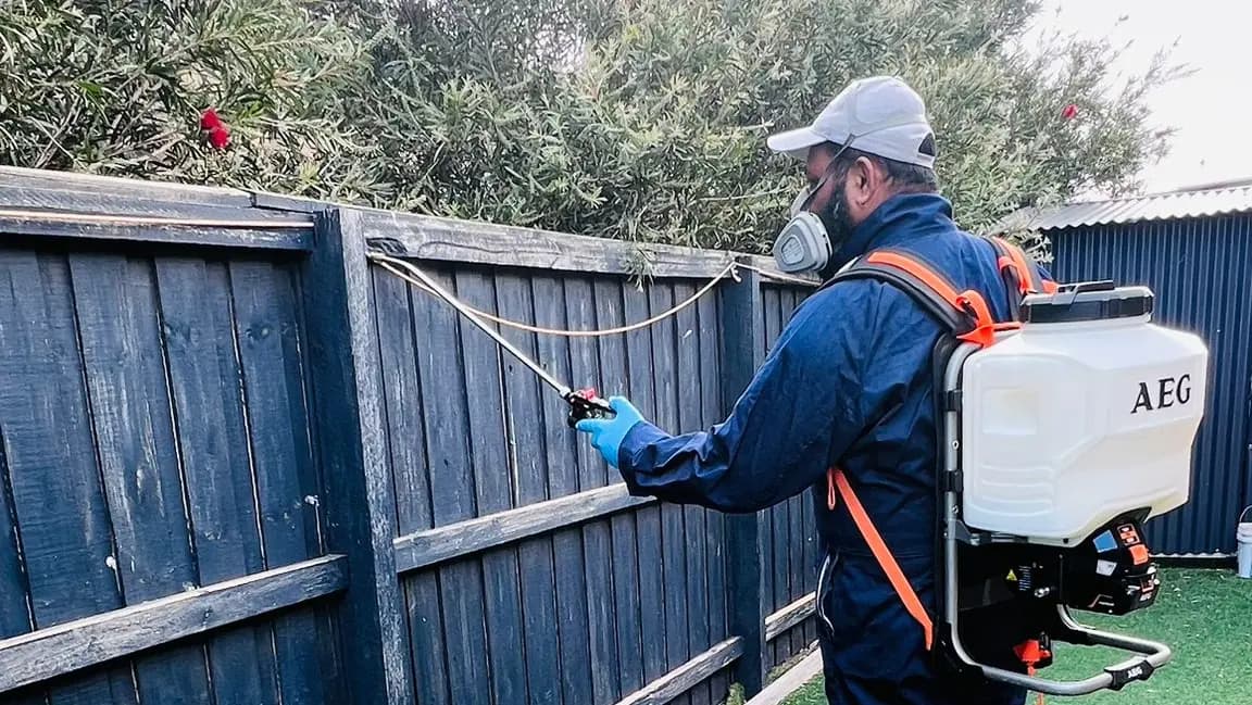 Ant prevention and maintenance strategies