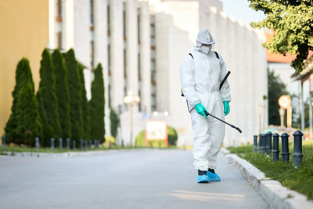 Commercial Pest Control