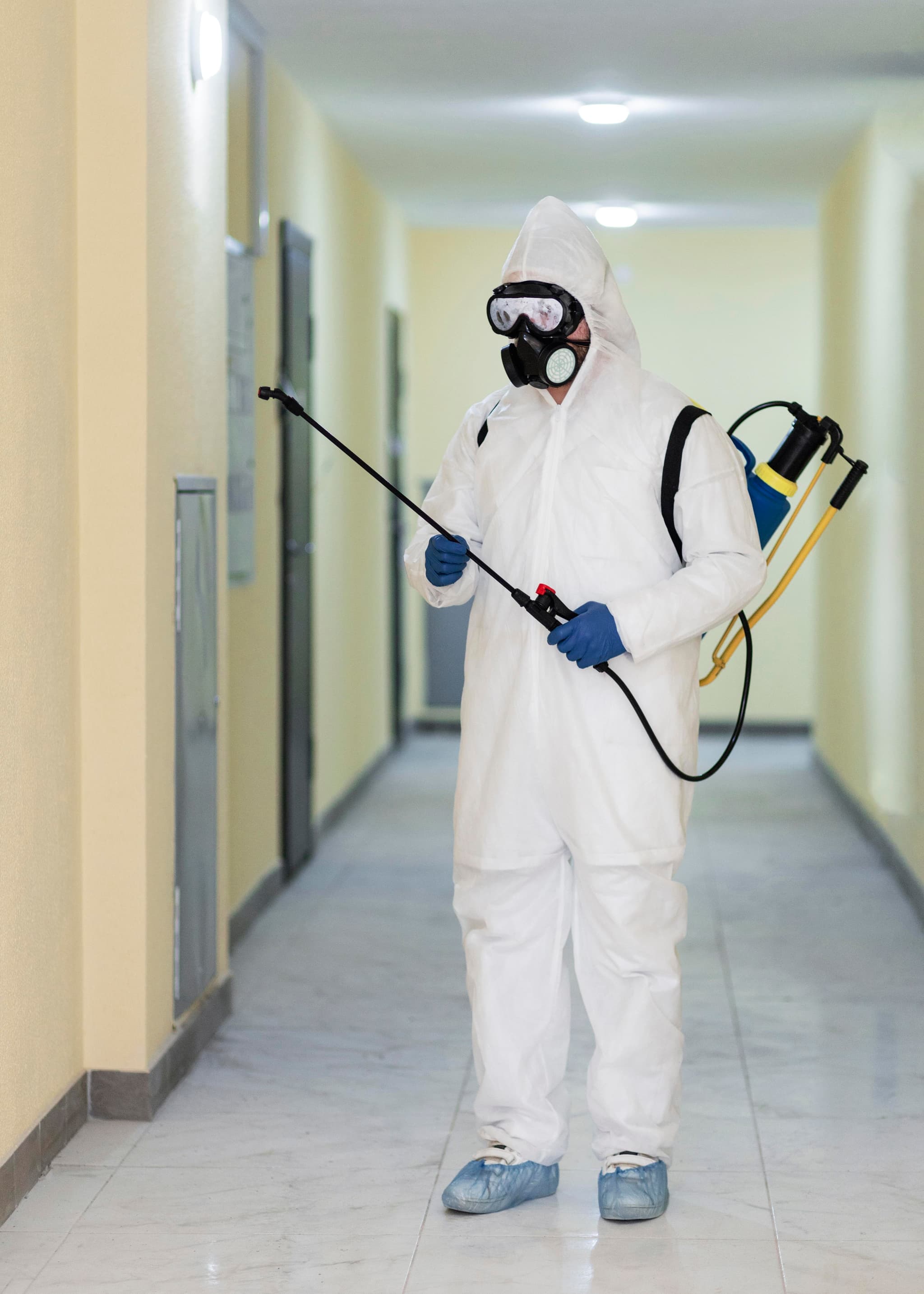 Elderly Care Pest Control Process