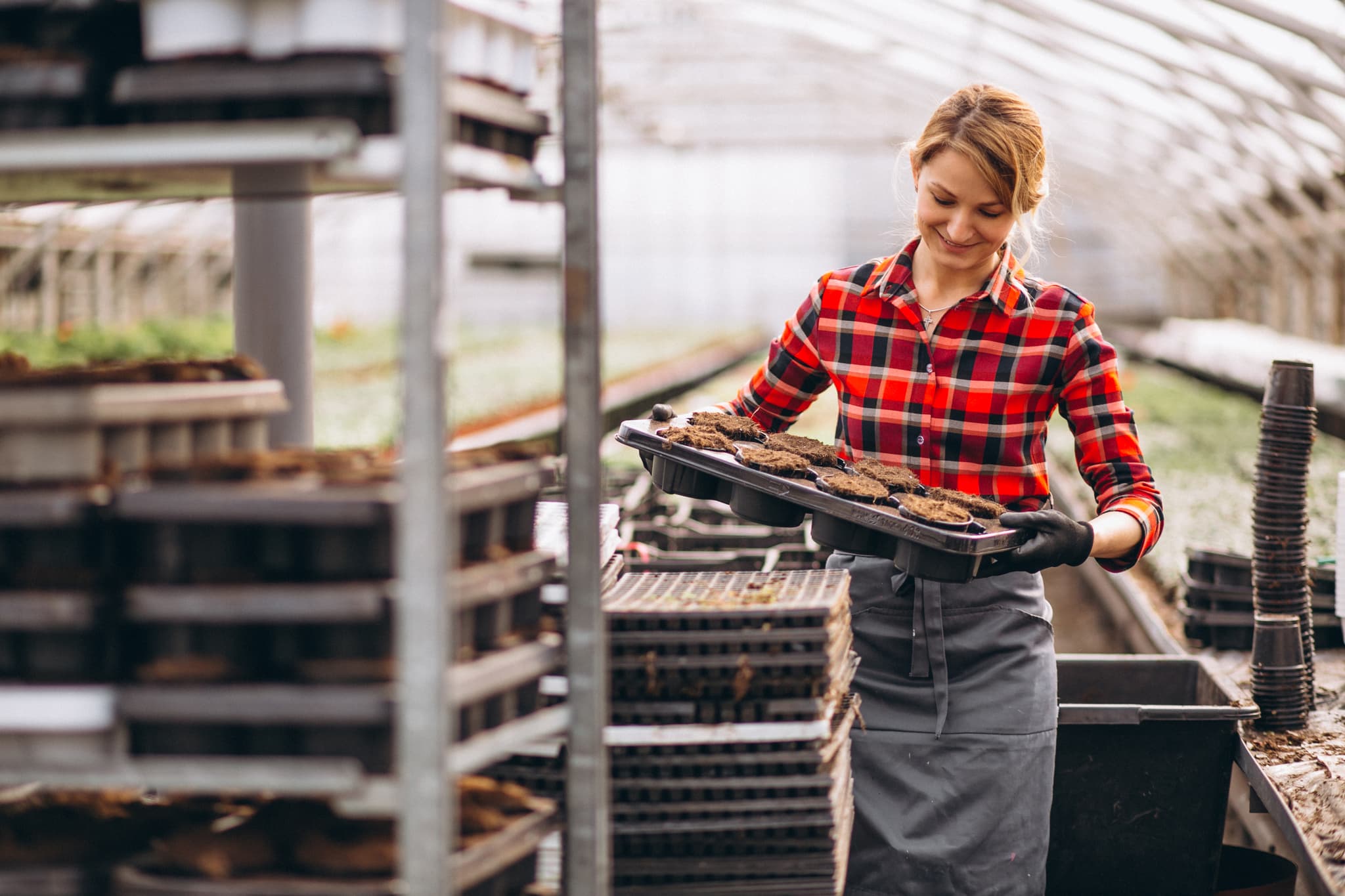 Food Processing Pest Control Process