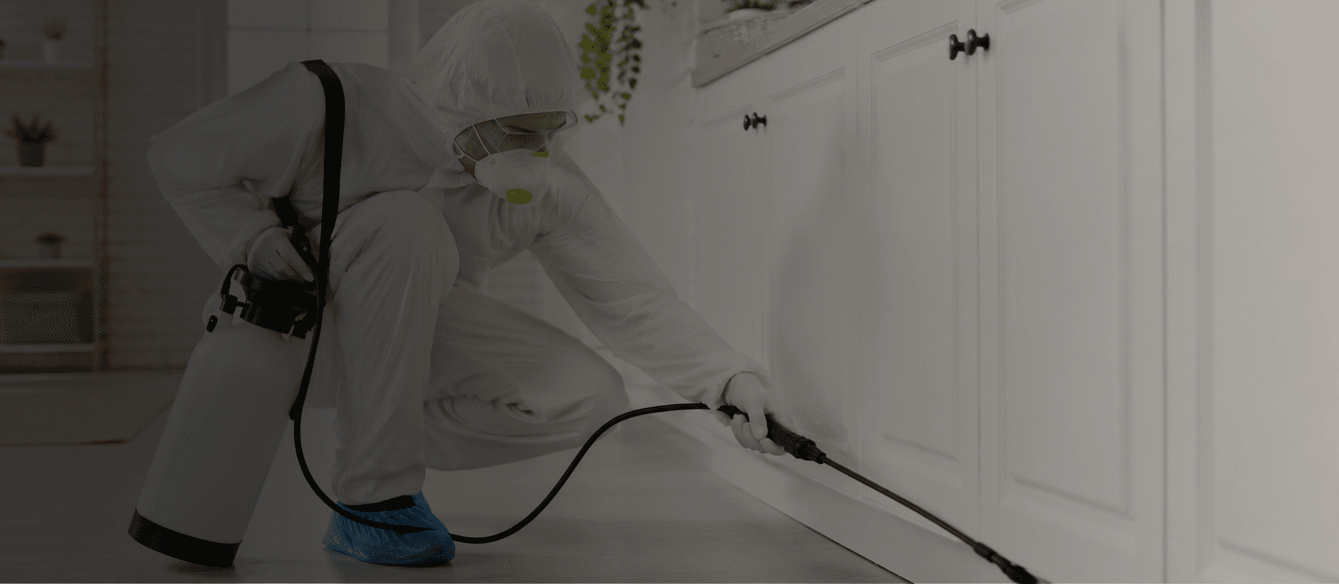 Pest Control Services – T47 Pest Control