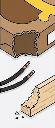 Gnaw marks on food packaging, wires, or wood