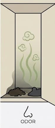 Musky odor in enclosed spaces or cupboards