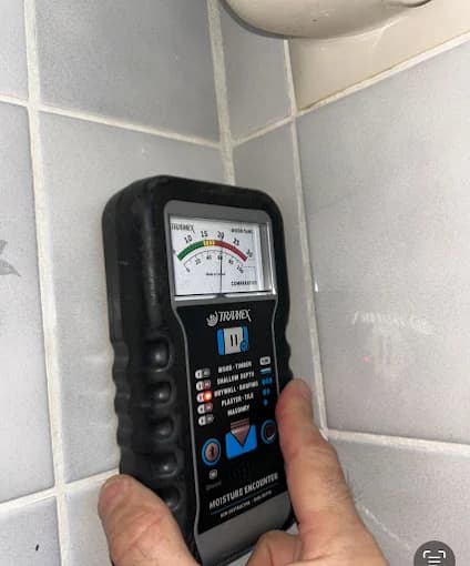 Acoustic and digital termite detection devices