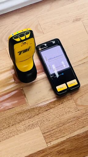 Thermal imaging and moisture detection for termites